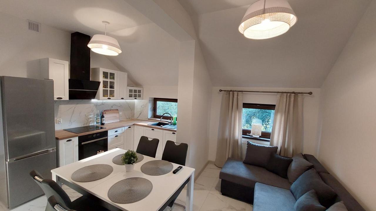 Apartamenty Starowiejska 39, Ryczów - 10km od Zator Energylandia Exterior foto